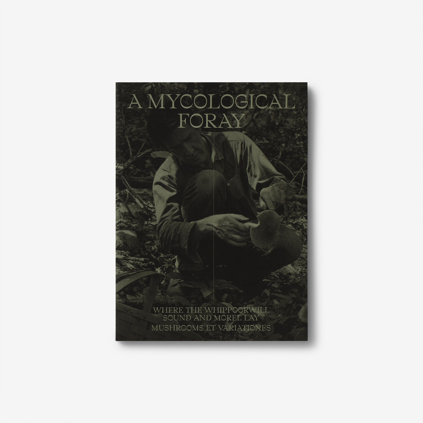 John Cage: A Mycological Foray