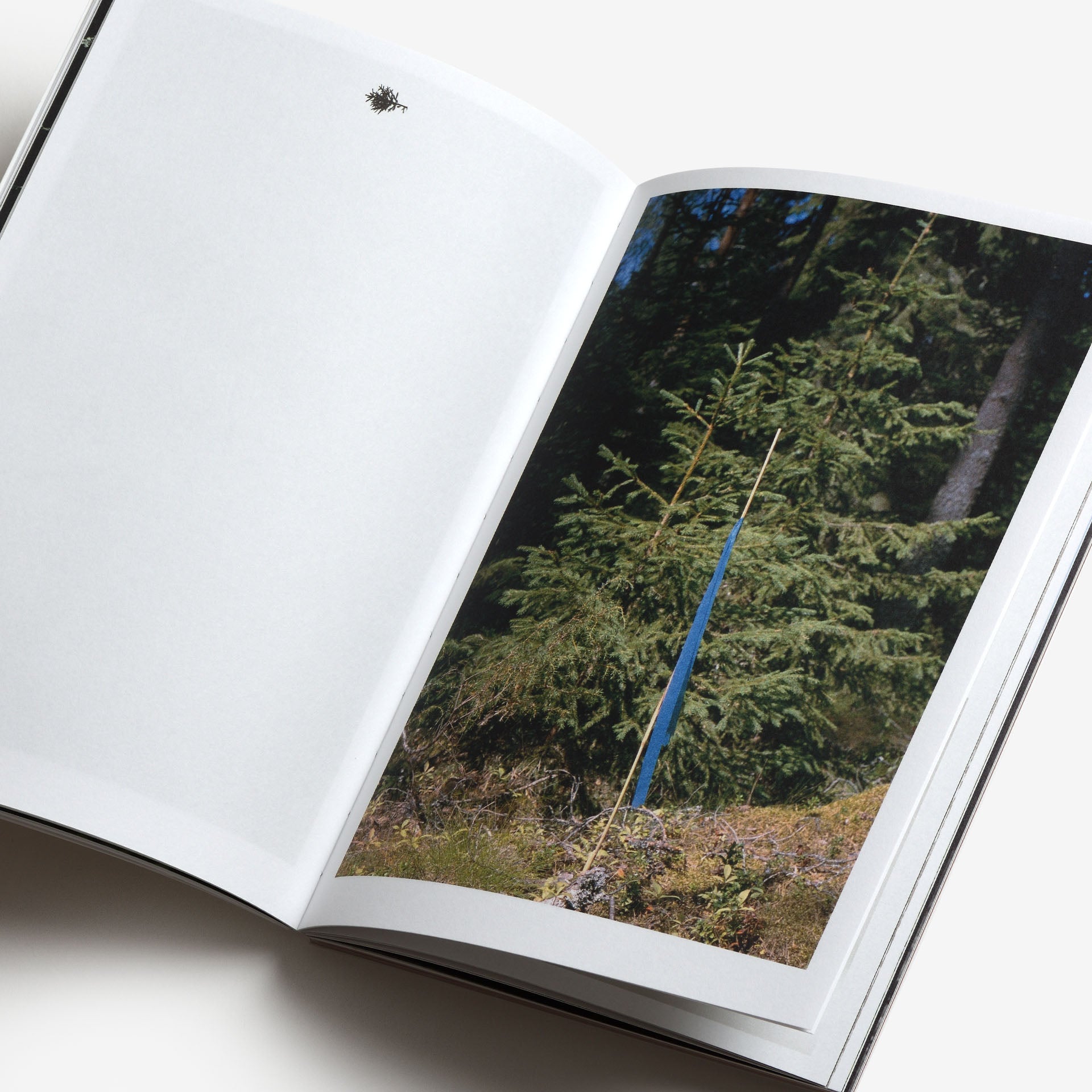 Sheung Yiu: Ground Truth