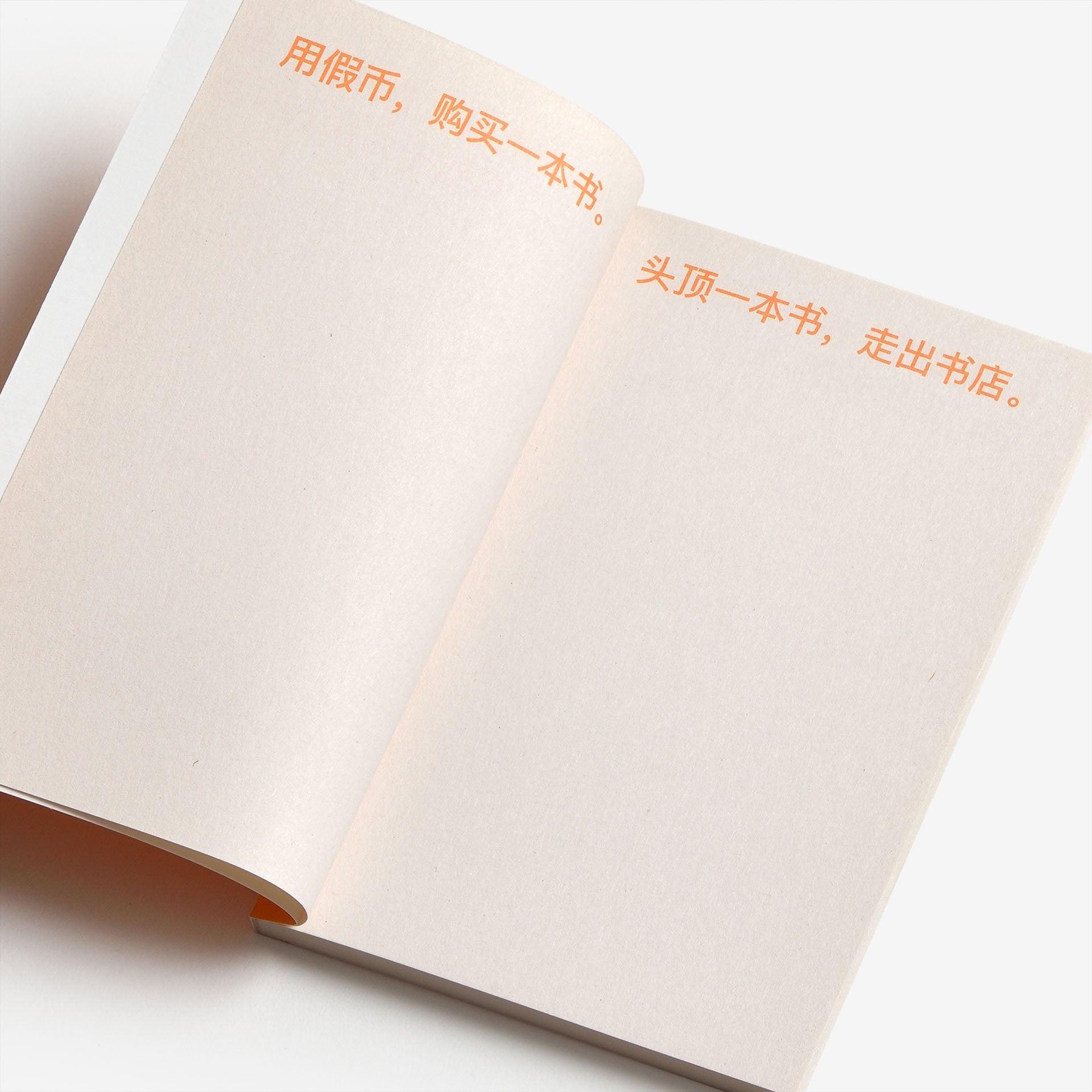 David Horvitz: How to shoplift books