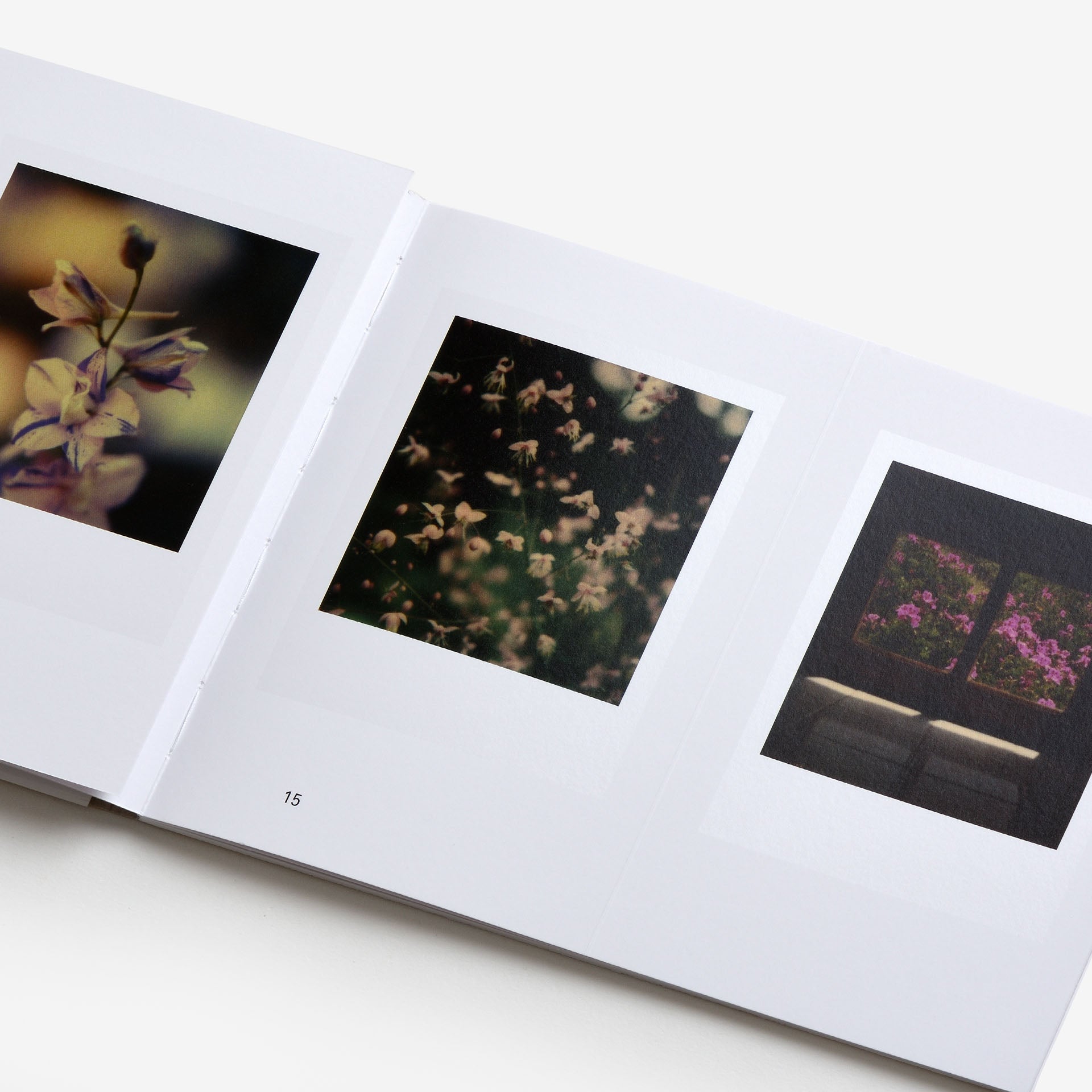 Robby Müller: Flora Polaroid