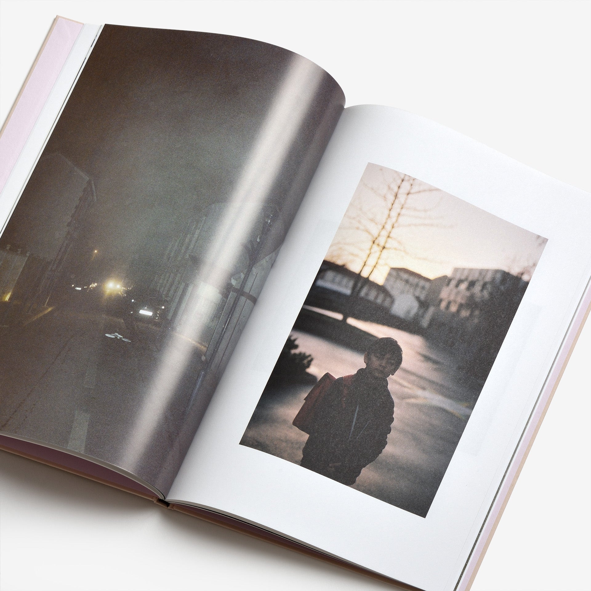 Ola Rindal: The Cloud, the Bird and the Puddle (Signed)