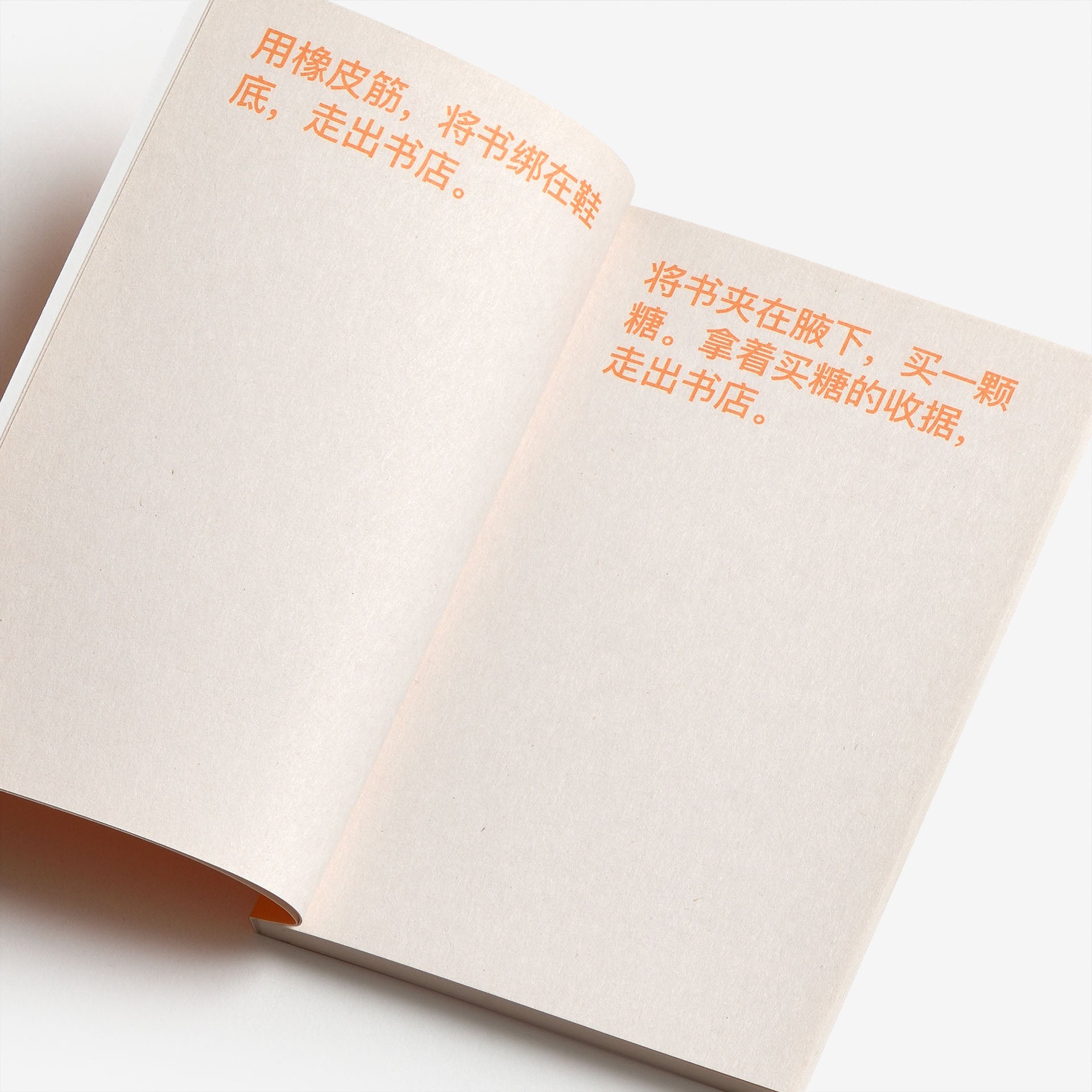 David Horvitz: How to shoplift books