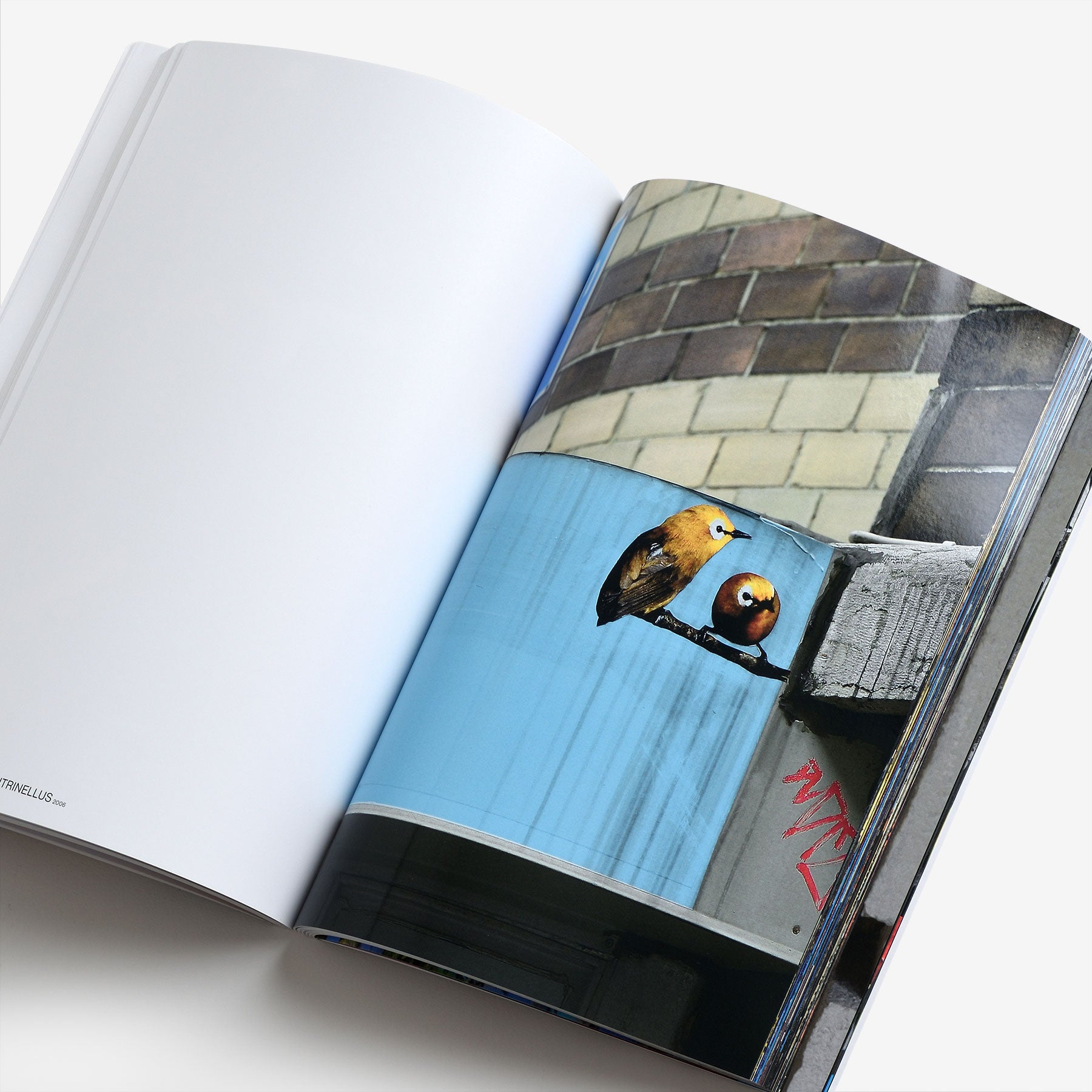 The Bird Project 2006–2017 Special Edition / Blue