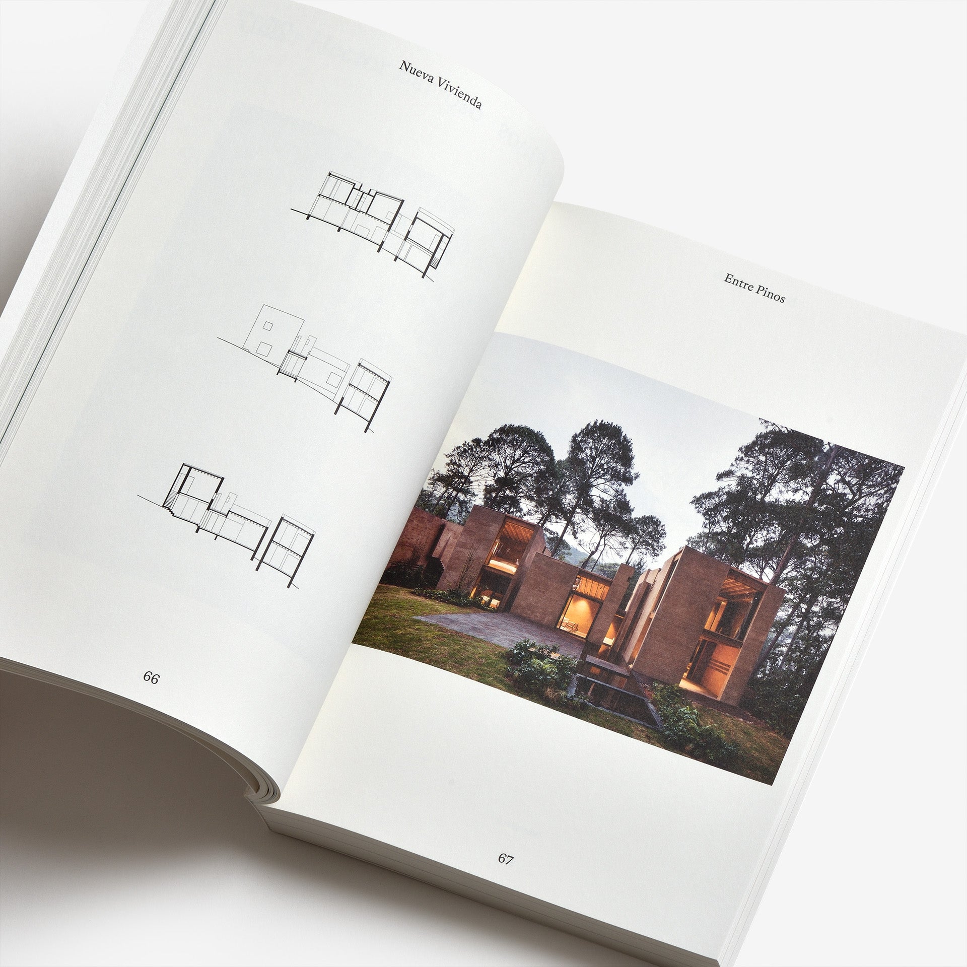 Nueva Vivienda: New Housing Paradigms in Mexico