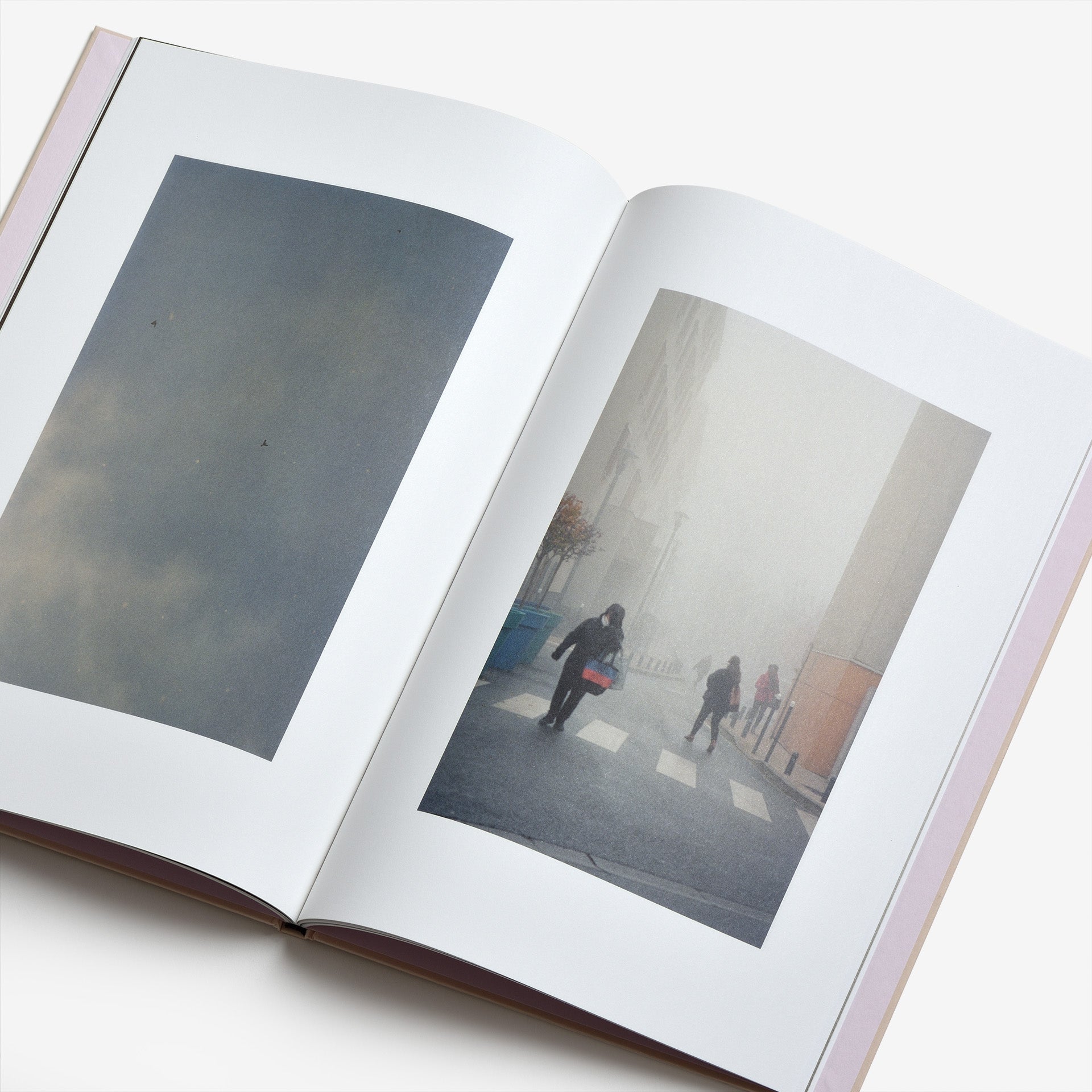Ola Rindal: The Cloud, the Bird and the Puddle (Signed)