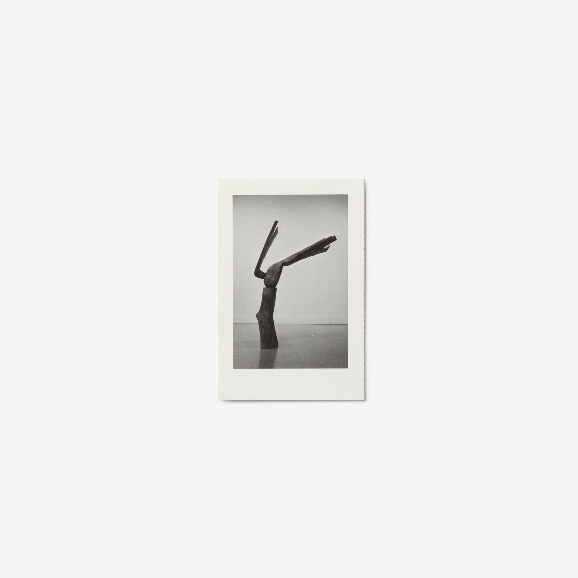 Embodying Anew