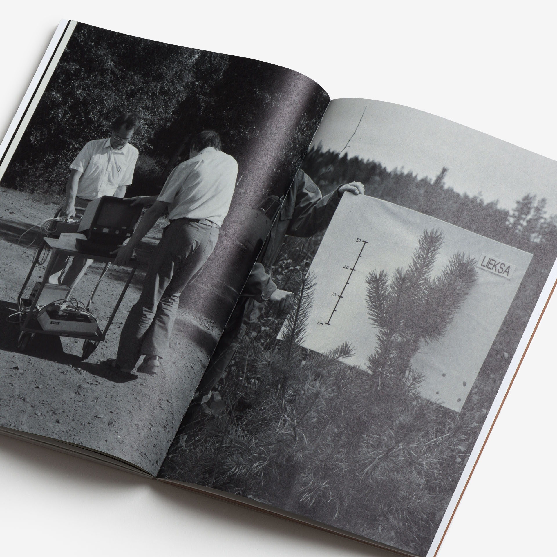 Sheung Yiu: Ground Truth
