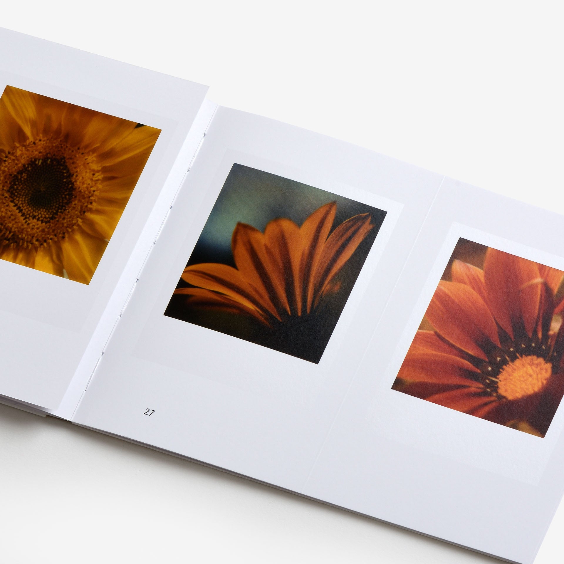 Robby Müller: Flora Polaroid