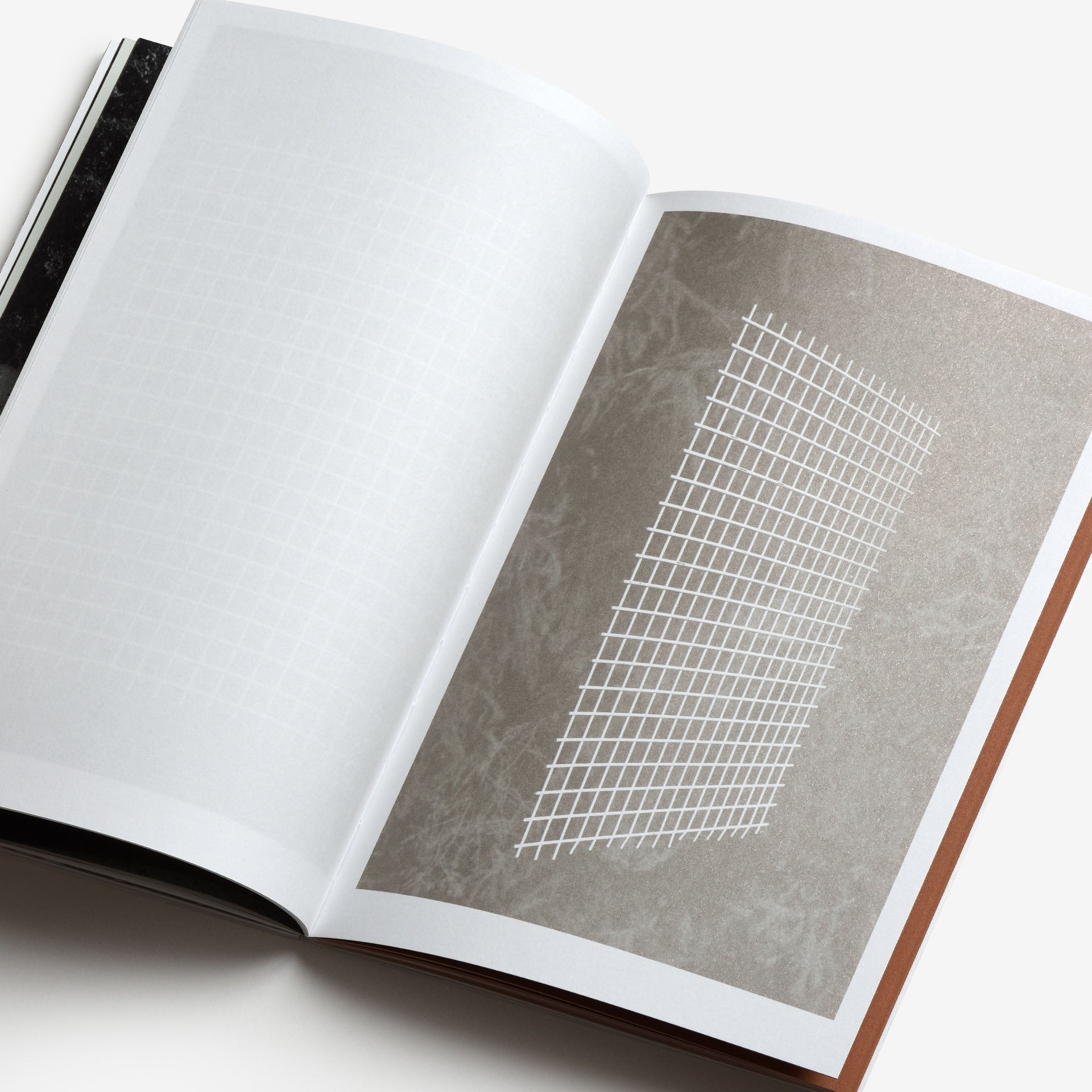 Sheung Yiu: Ground Truth
