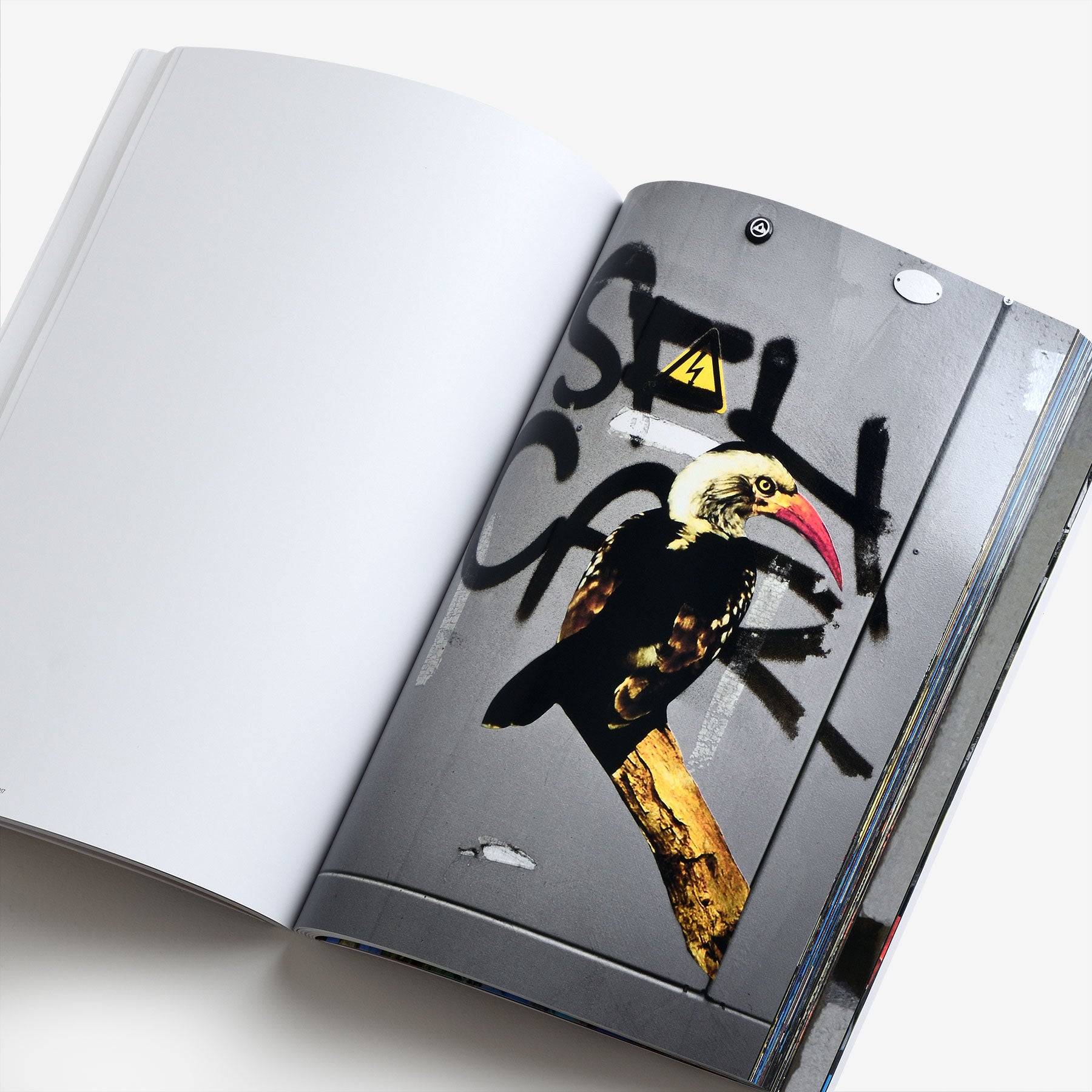 The Bird Project 2006–2017 Special Edition / Yellow