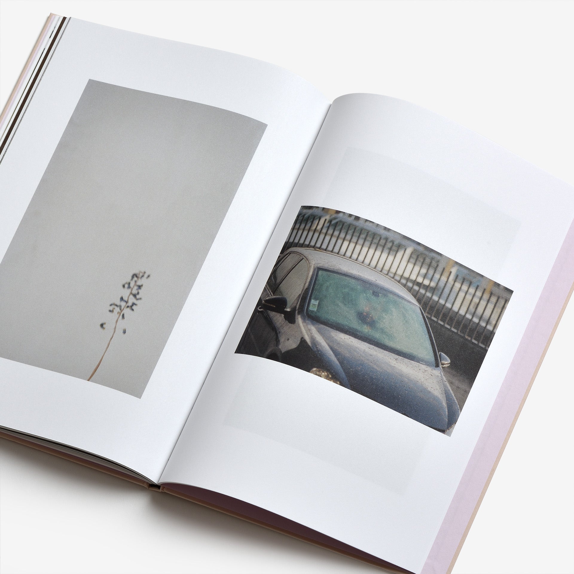 Ola Rindal: The Cloud, the Bird and the Puddle (Signed)