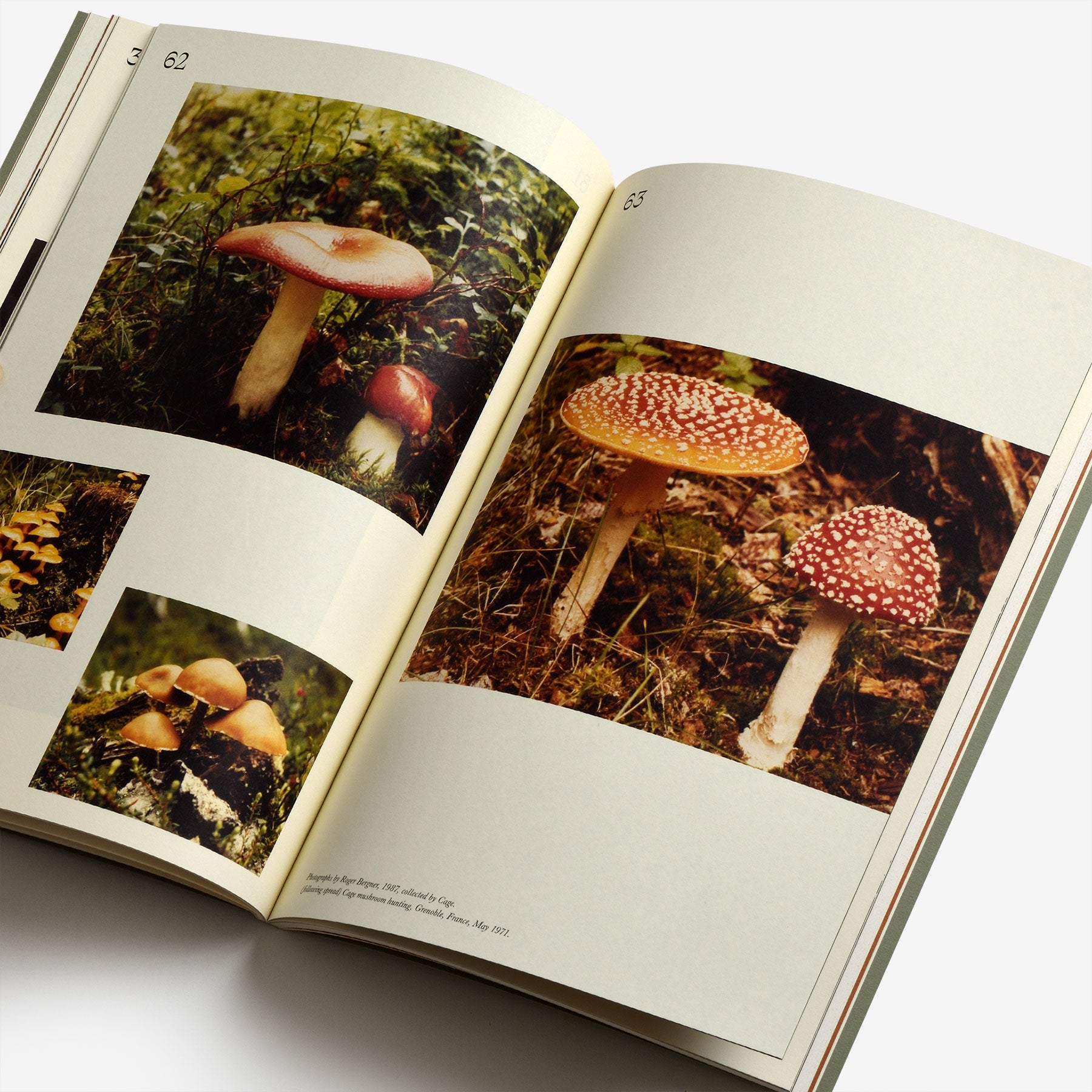 John Cage: A Mycological Foray | North East