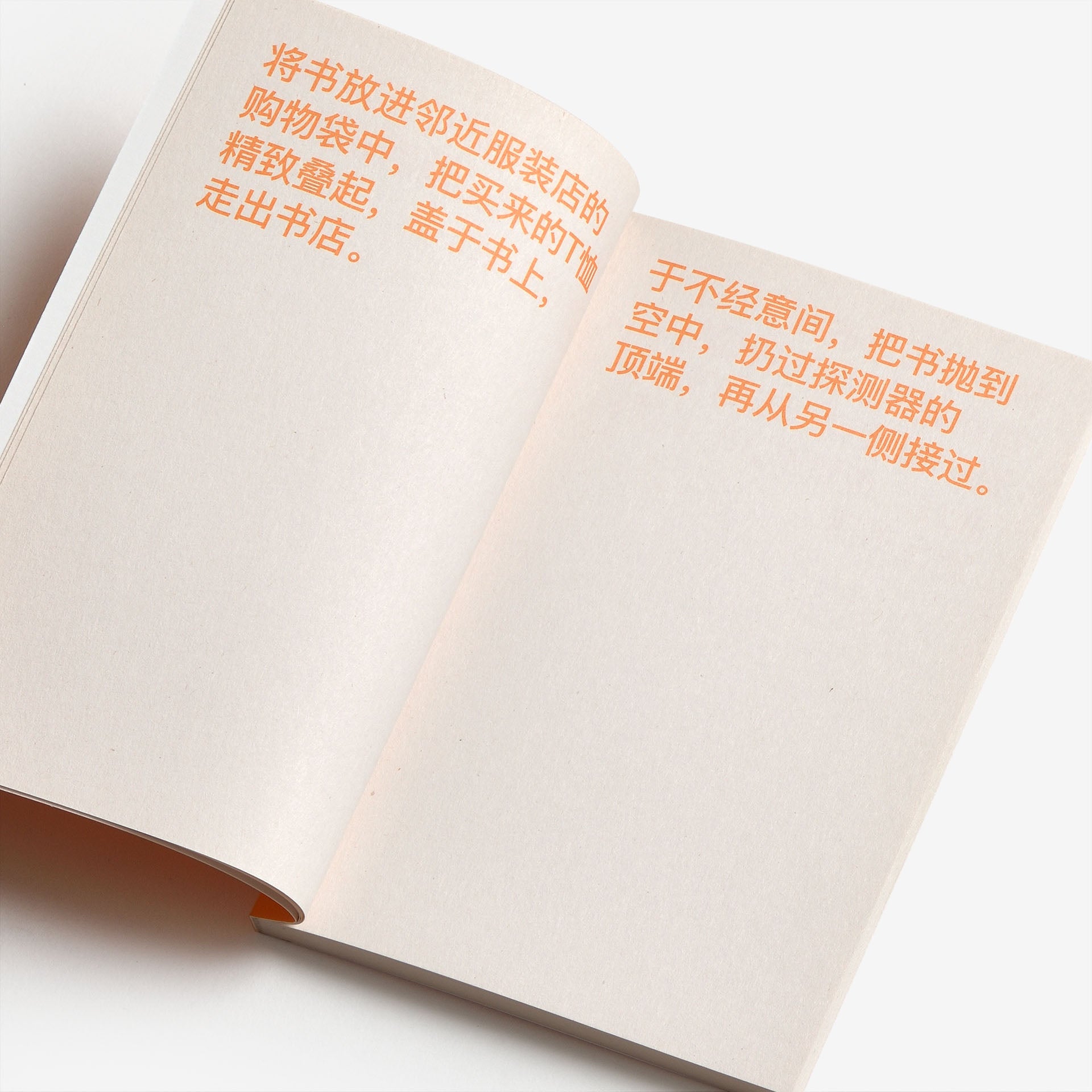 David Horvitz: How to shoplift books