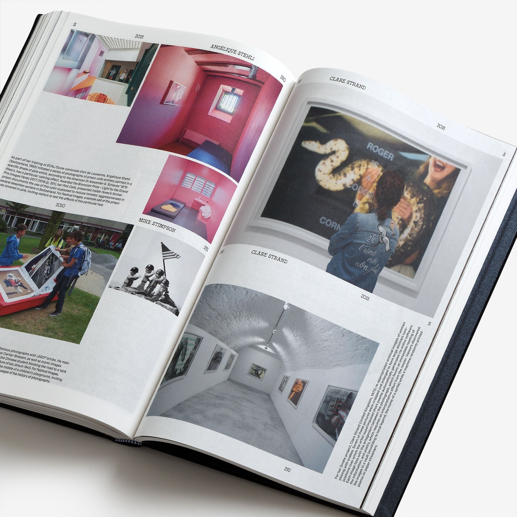 The Book of Images: An Illustrated Dictionary of Visual Experiences