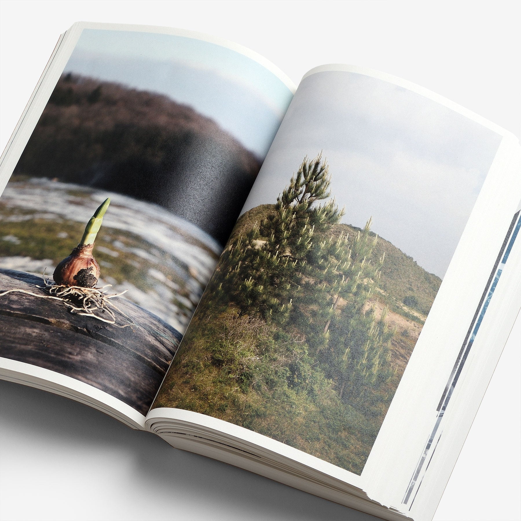 RE)PICTURE 01 Special Edition | North East