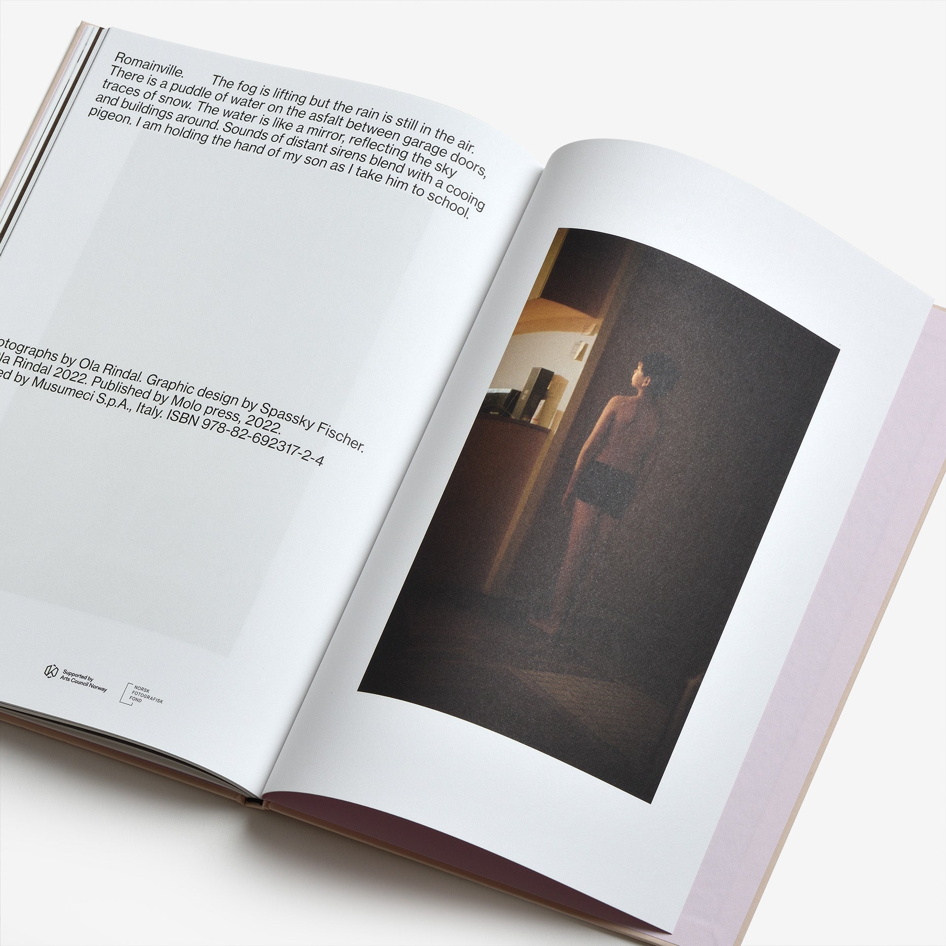 Ola Rindal: The Cloud, the Bird and the Puddle (Signed)