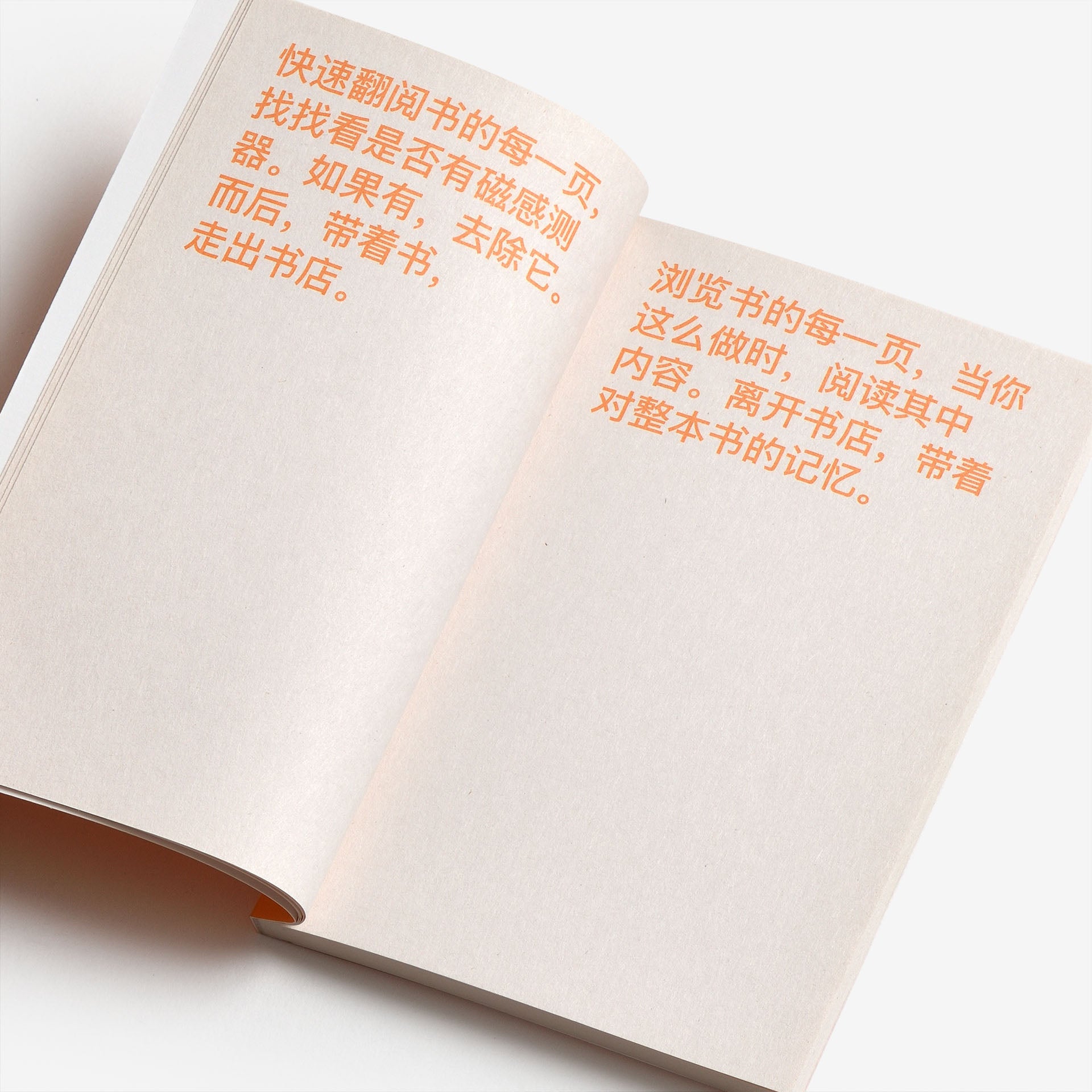 David Horvitz: How to shoplift books