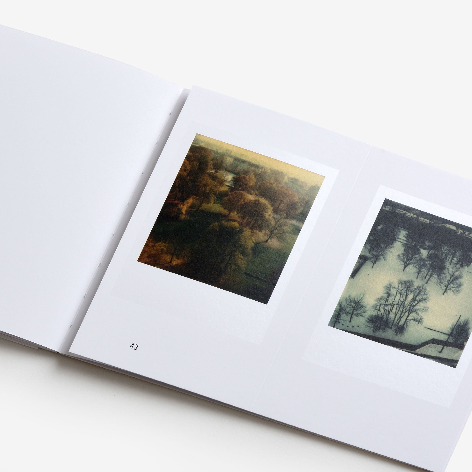Robby Müller: Flora Polaroid