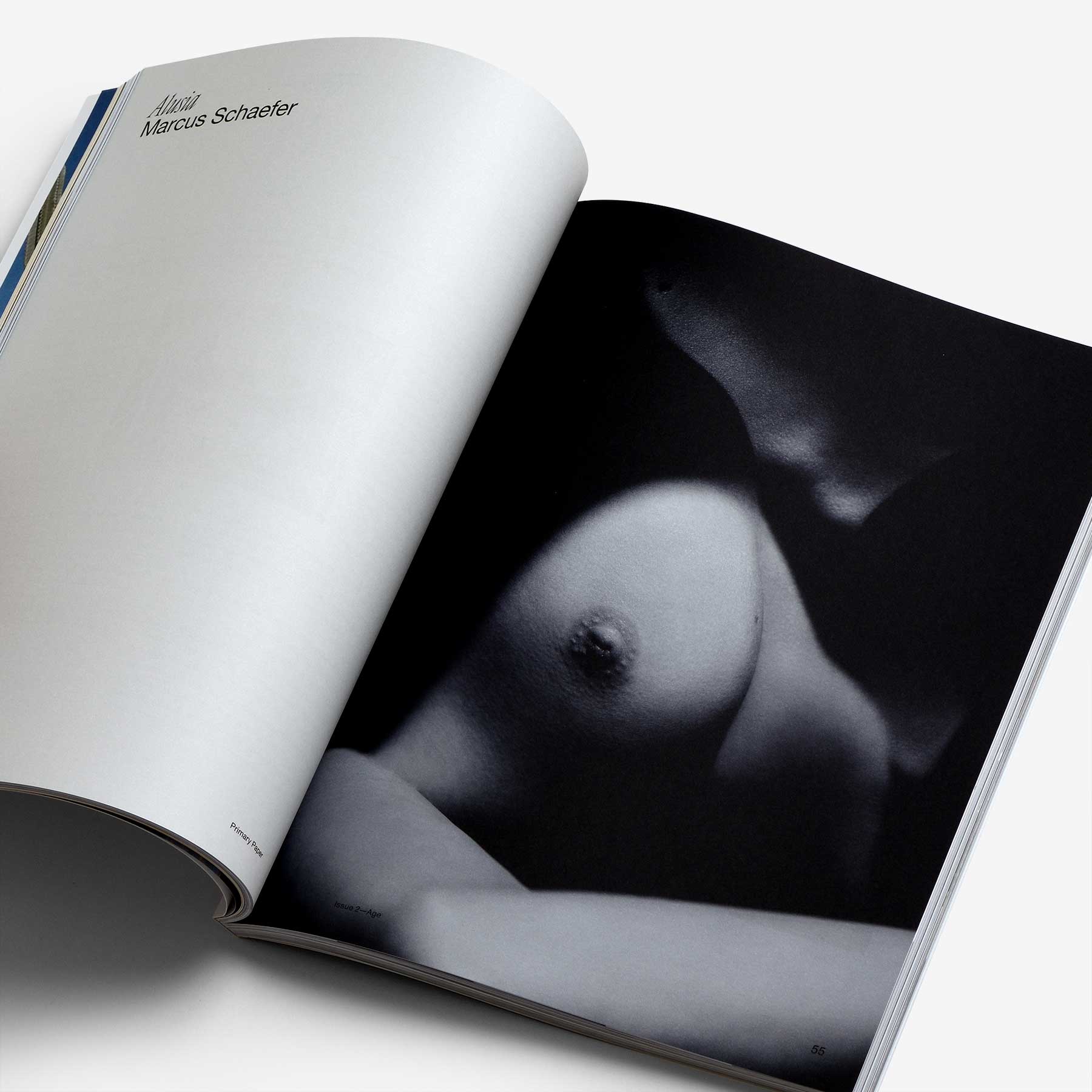 Primary Paper Issue 2