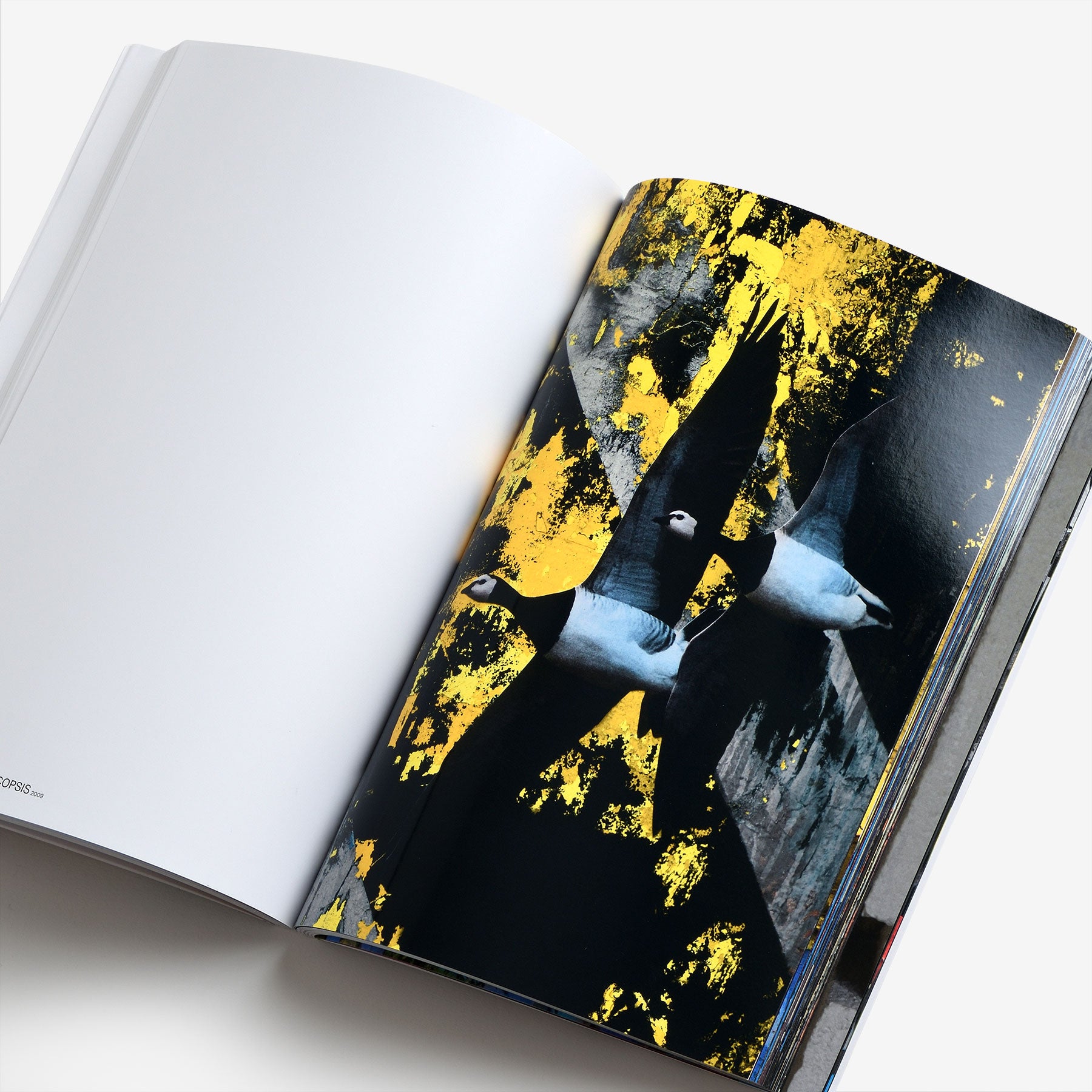 The Bird Project 2006–2017 Special Edition / Blue