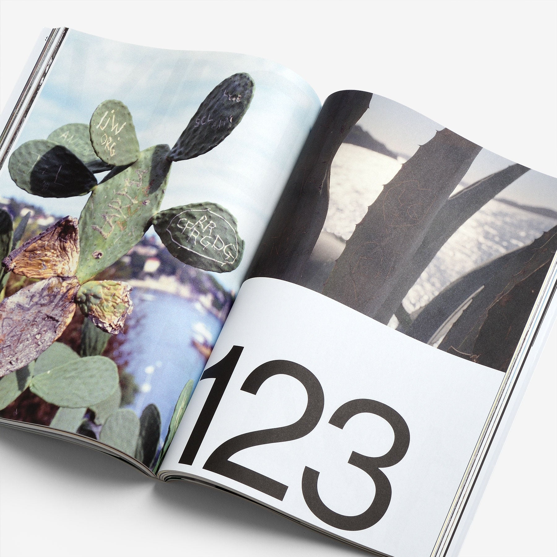 Spectre 02: Vegetal Trauma