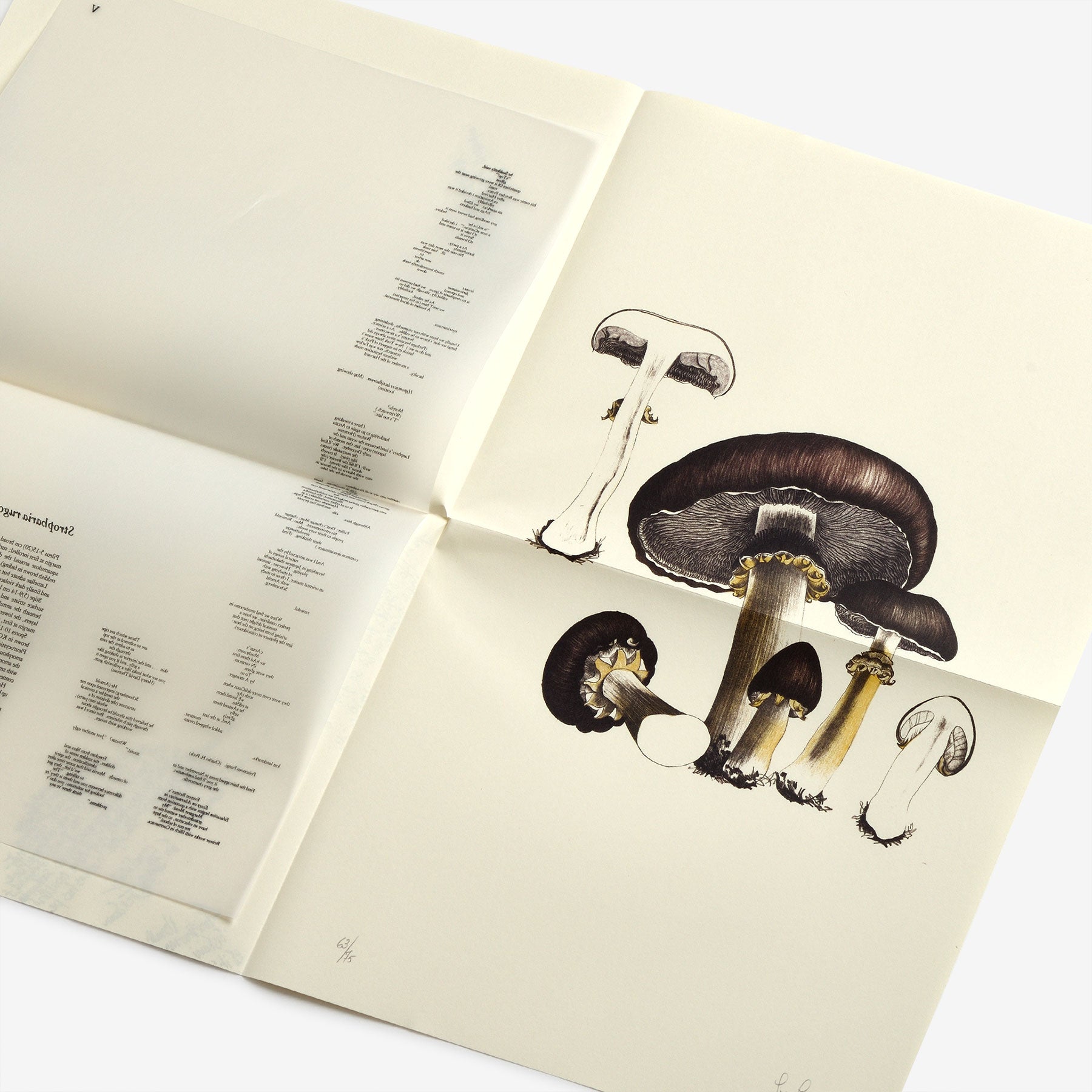 John Cage: A Mycological Foray