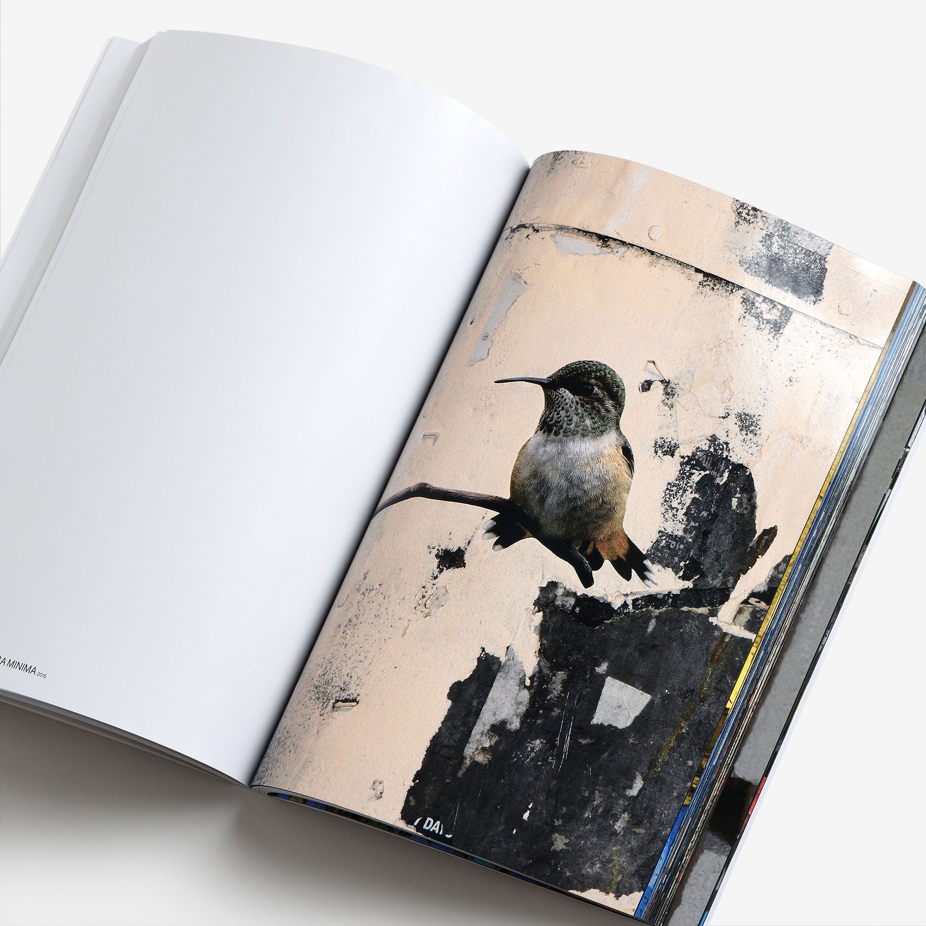 The Bird Project 2006–2017 Special Edition / Yellow