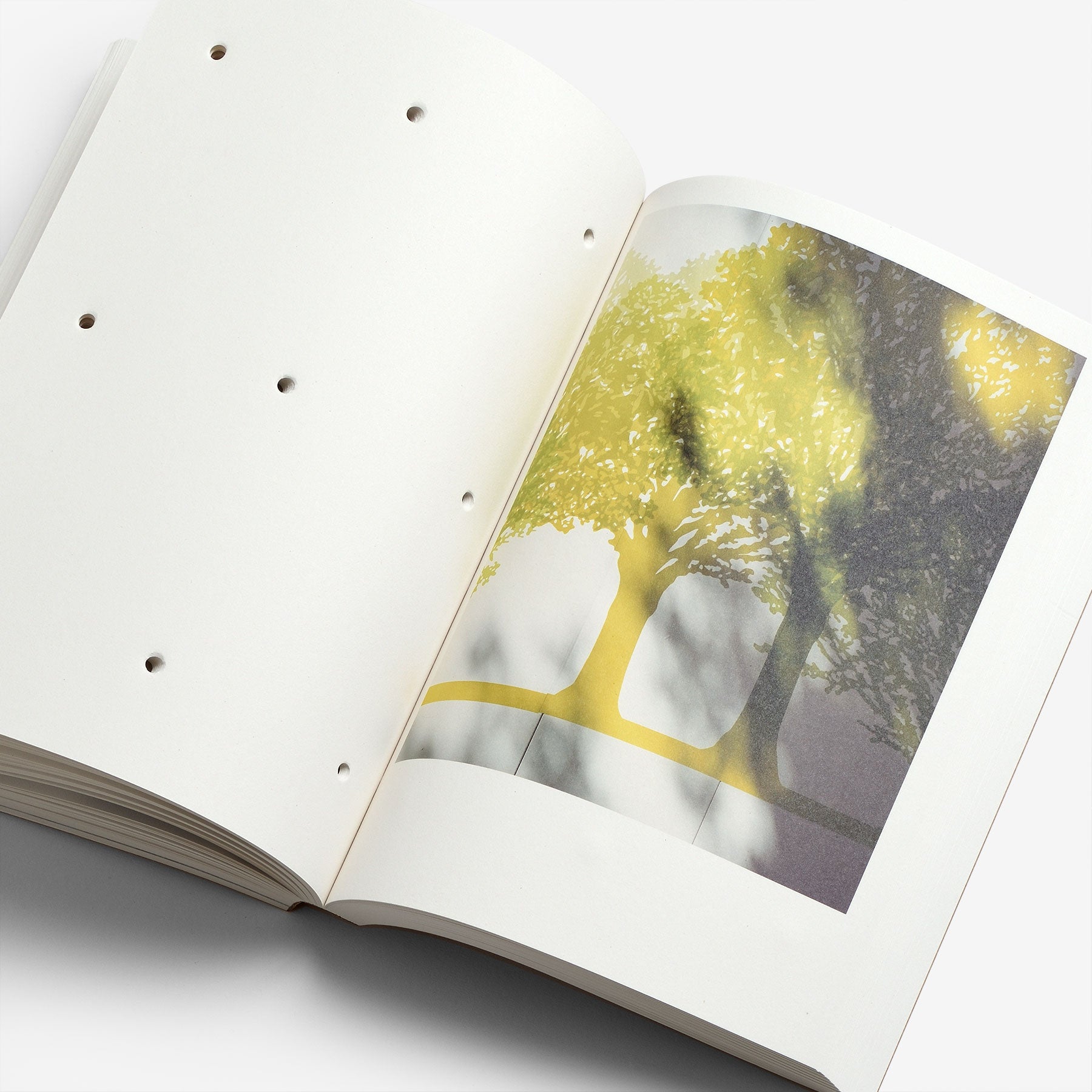 RE)PICTURE 01 Special Edition | North East